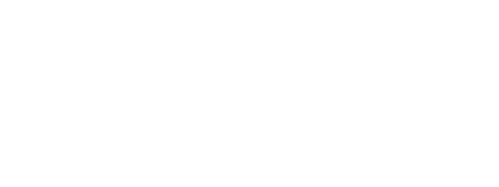 Ford Logo