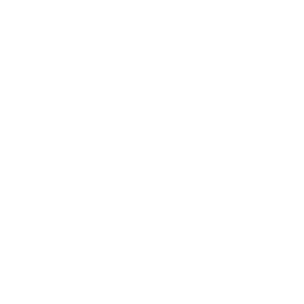 Toyota Logo